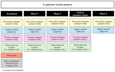 Vaccines for Streptococcus agalactiae: current status and future perspectives